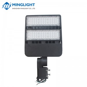LED Parking / Flood Light FL80 100W